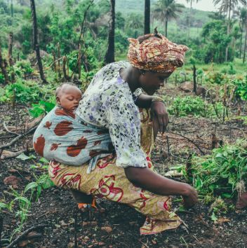 A farmer  in the field with a child on her back