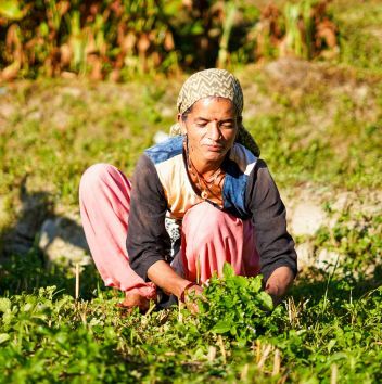 A farmer in the field holding green vegetables